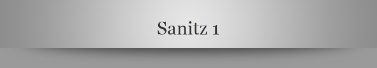 Sanitz 1