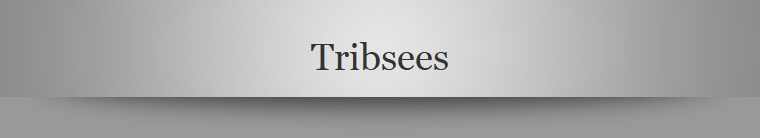 Tribsees